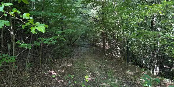 Image 3 Image 3