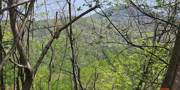 Lot 24 High Rock Ridge