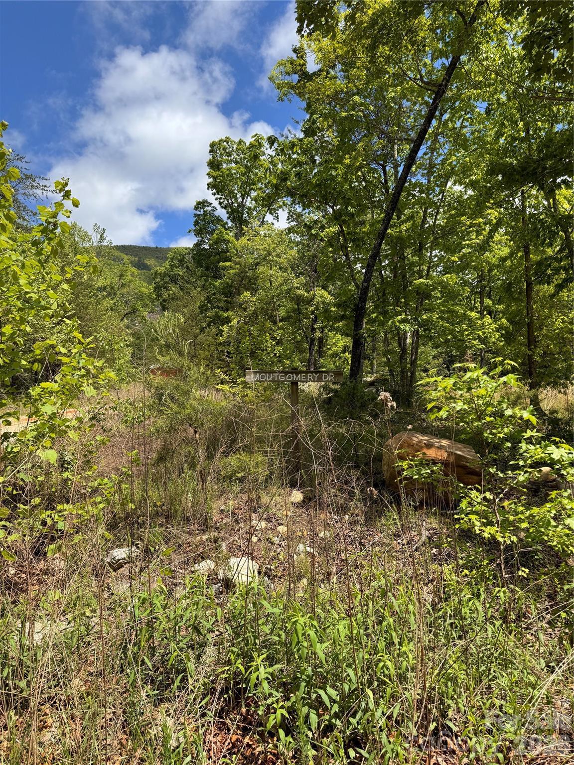 Image 4 Image 4