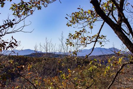 Lot# 547 Autumn Ridge