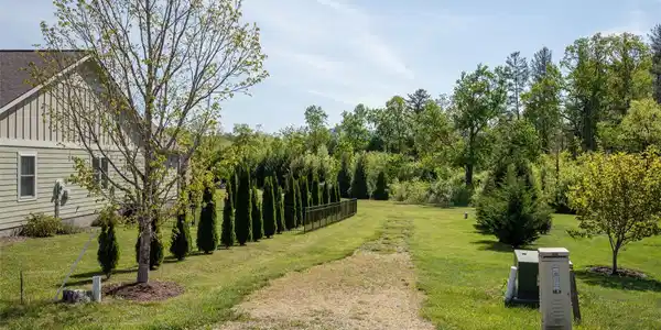 Image 4 Image 4