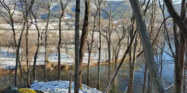 Image 4 Image 4