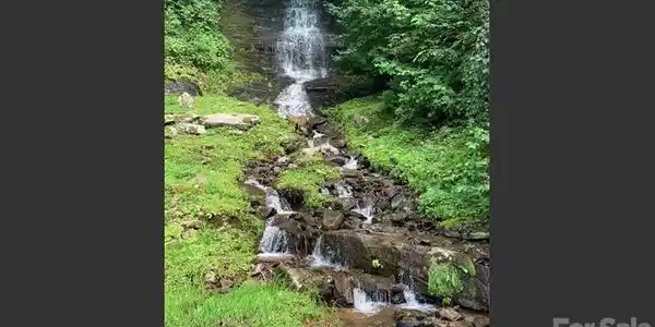 Image 2 Image 2