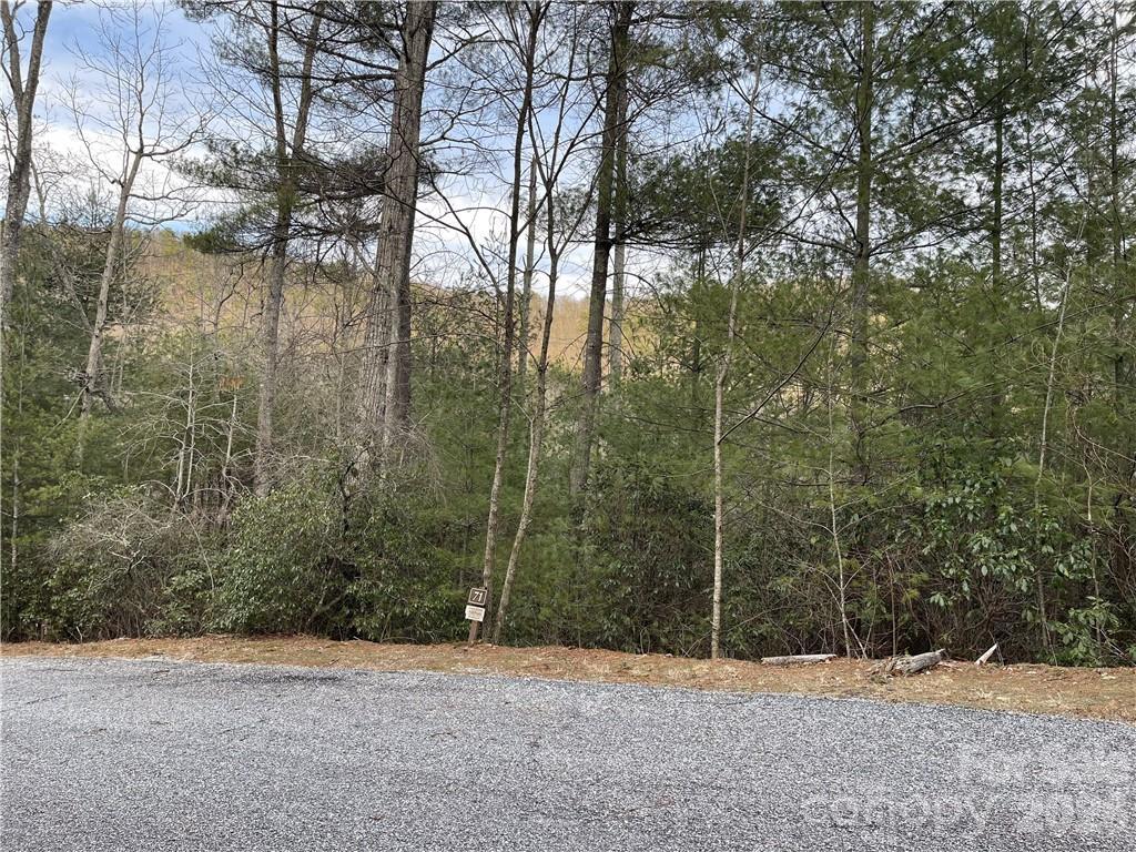 Image 1 Image 1