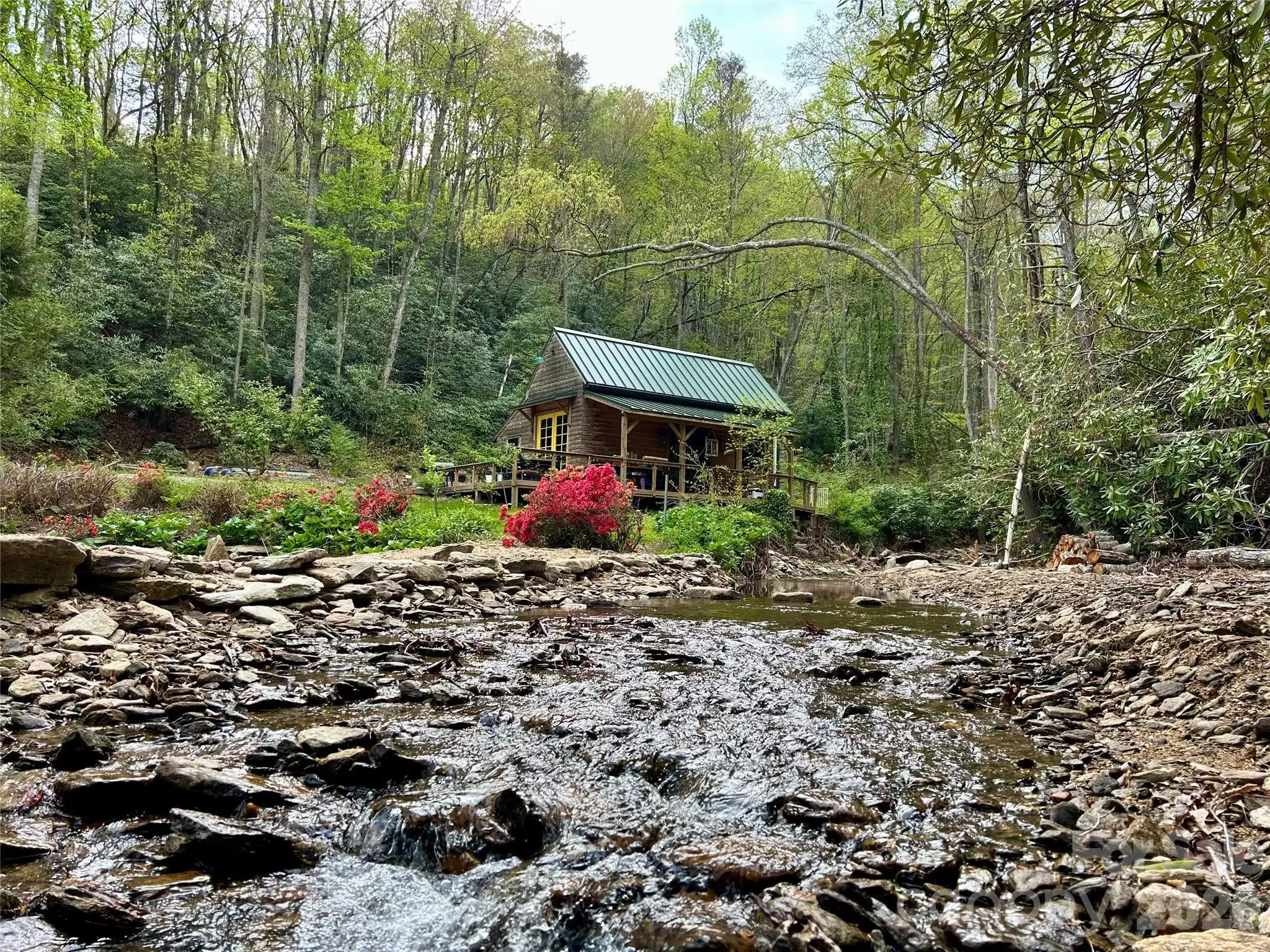 Image 1 Image 1