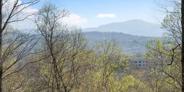 44 Ridge Pine Trail