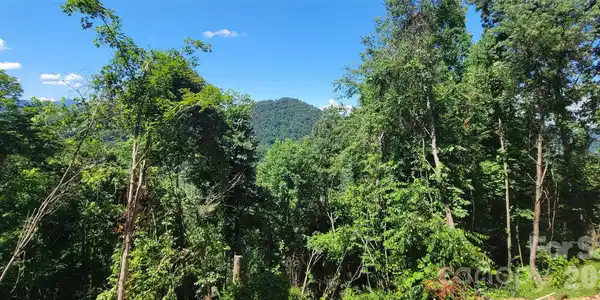 Image 4 Image 4