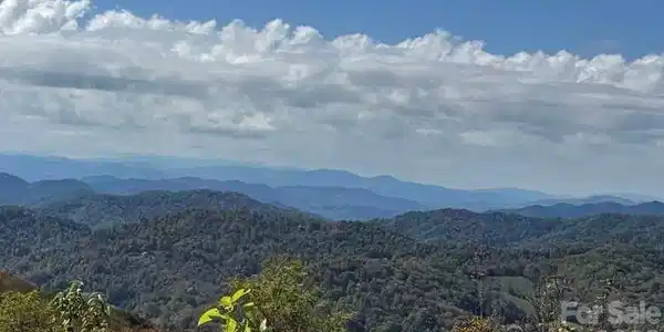 50 Scenic Wolf Ridge Road