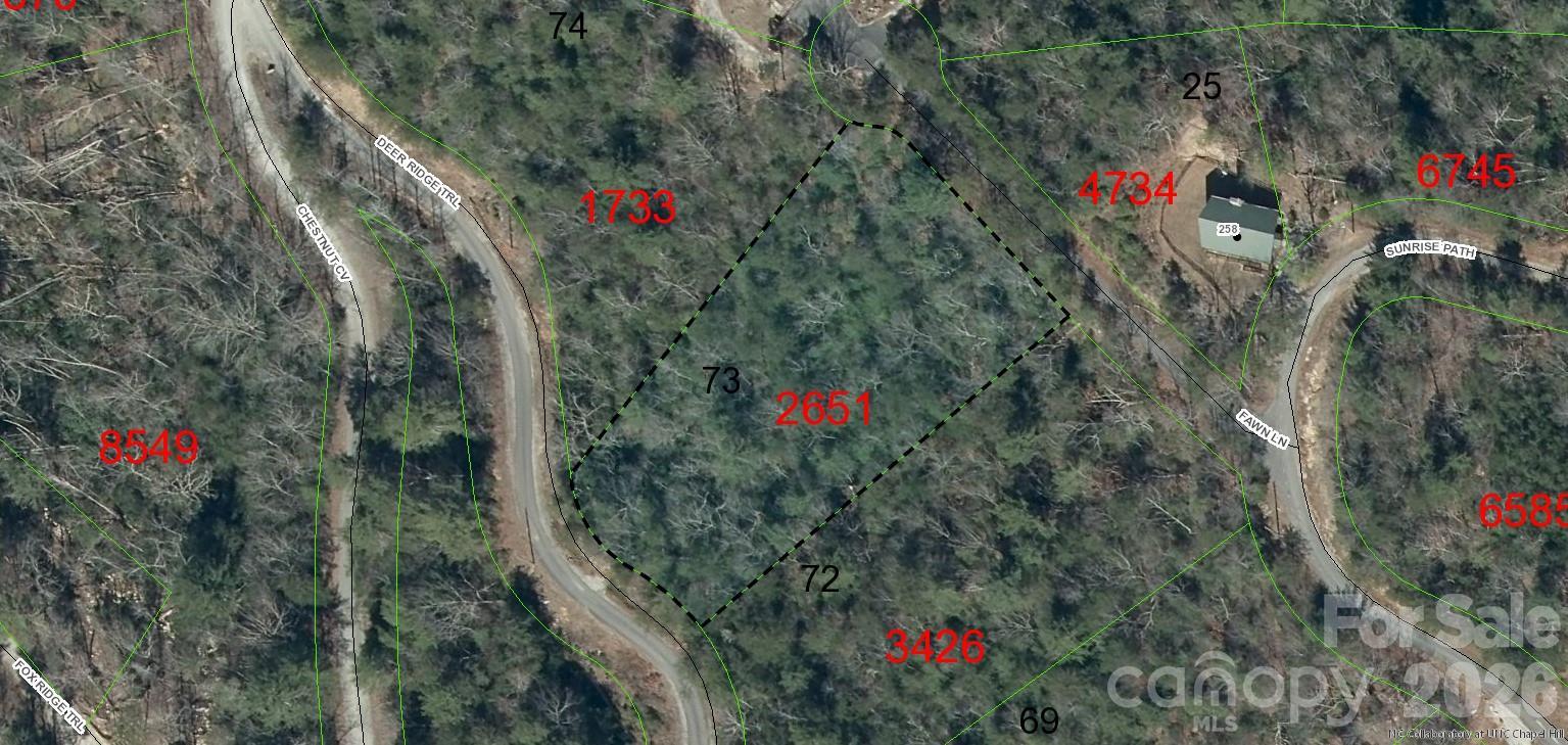 Image 4 Image 4