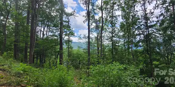 Image 4 Image 4