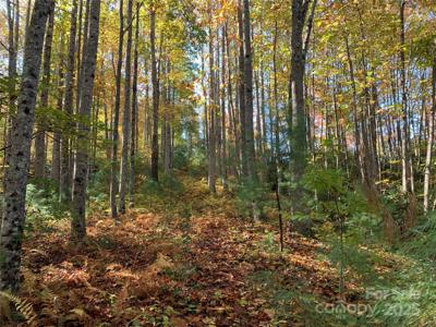 Lot# 556 Timber Rock Drive