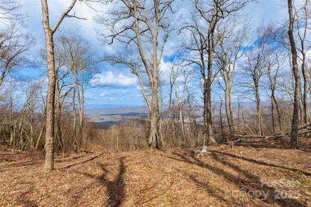 703 Fairview Forest Drive