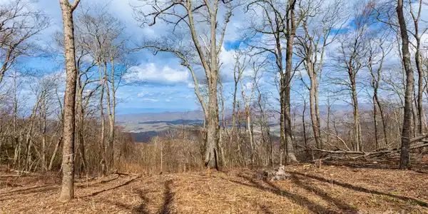 703 Fairview Forest Drive