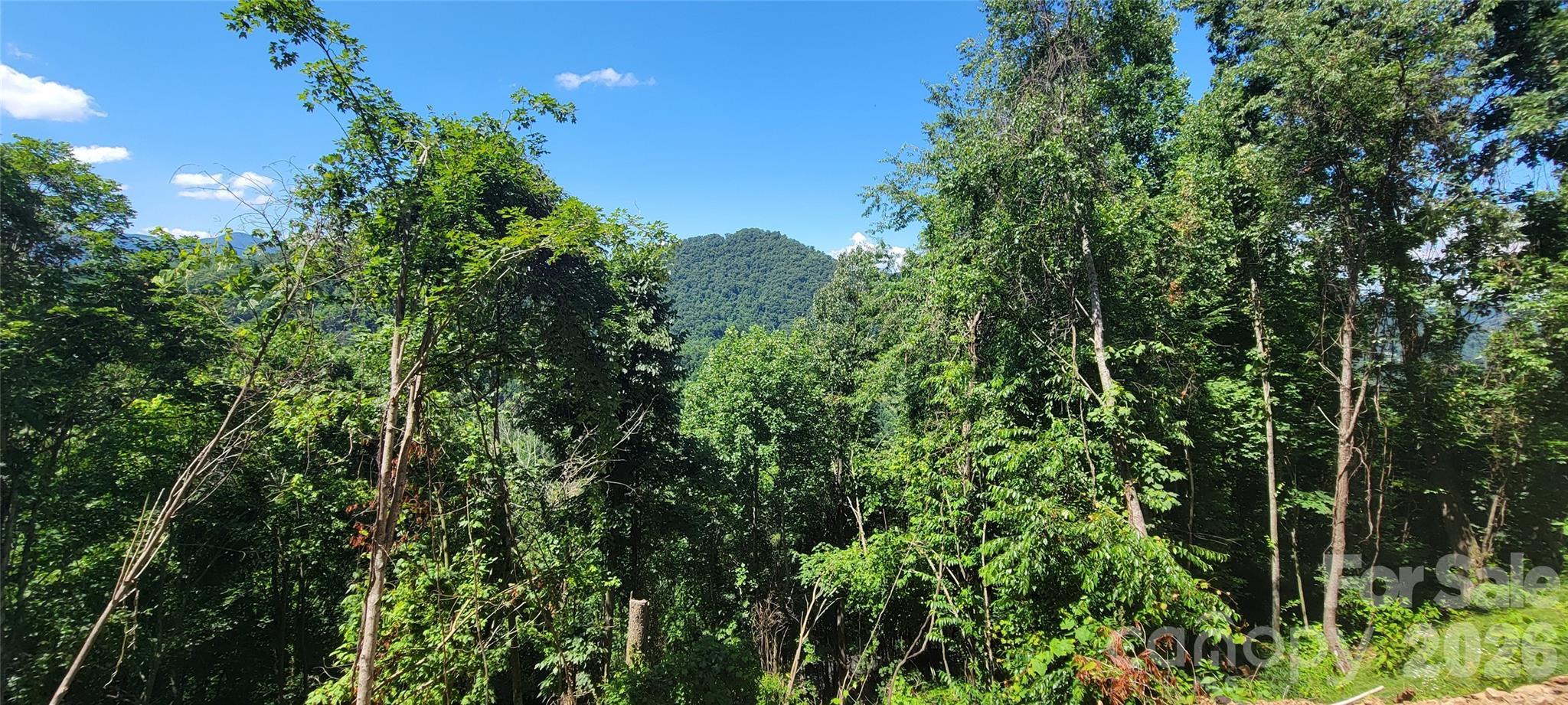 Image 3 Image 3