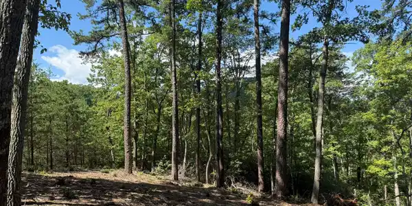 Image 3 Image 3