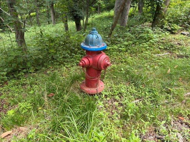 Image 4 Image 4