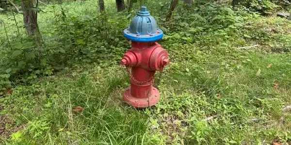 Image 4 Image 4