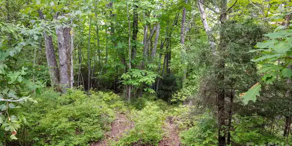 Image 4 Image 4