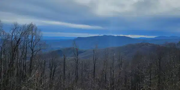 Image 2 Image 2