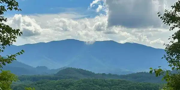Image 2 Image 2