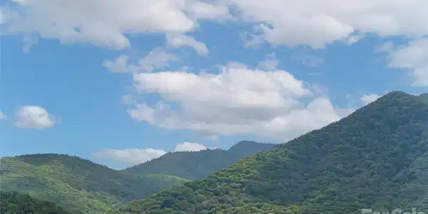 Image 3 Image 3