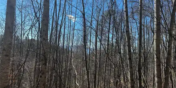 Image 2 Image 2