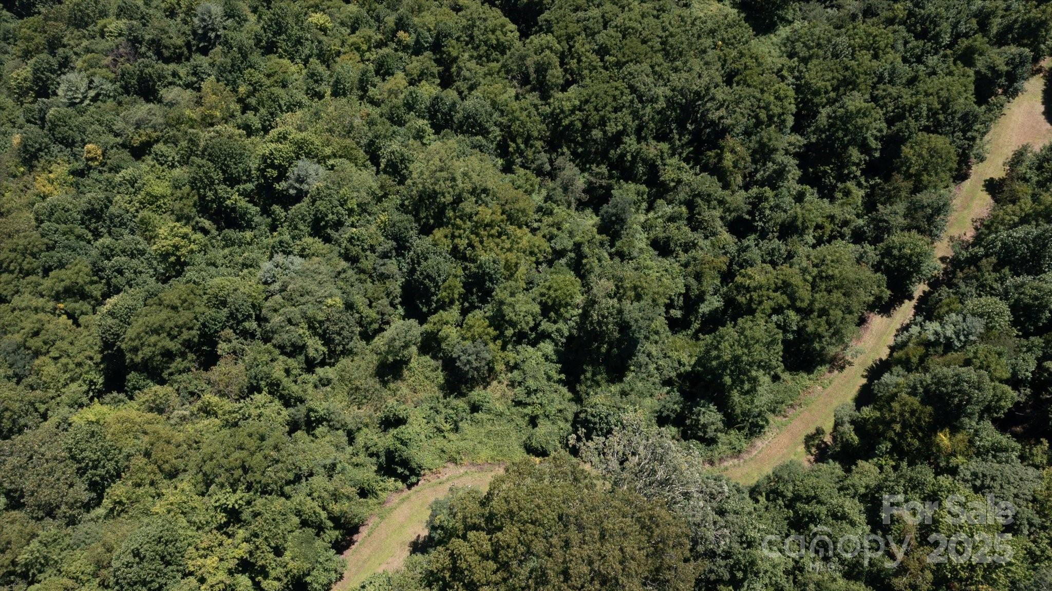 Image 3 Image 3