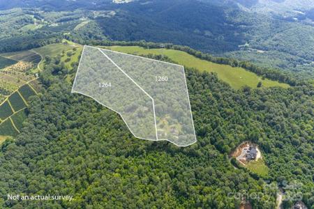 1264 Mountain Laurel Parkway