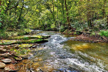 Lot 49 Old Mill Road