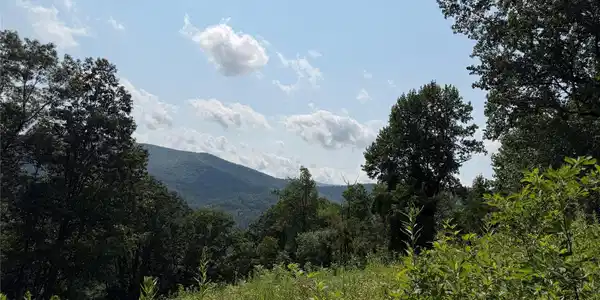 Image 3 Image 3