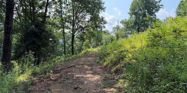 Image 4 Image 4