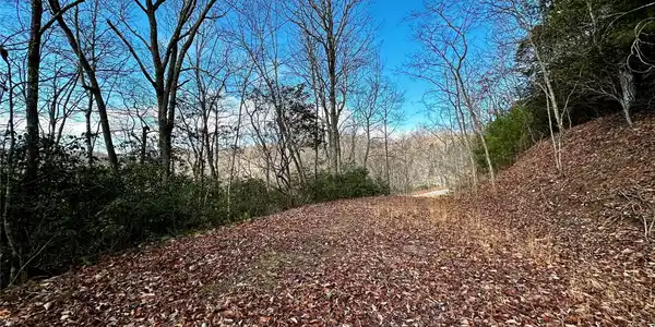 Lot 47 N Nickajack Road