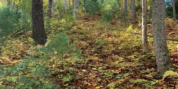 Image 4 Image 4