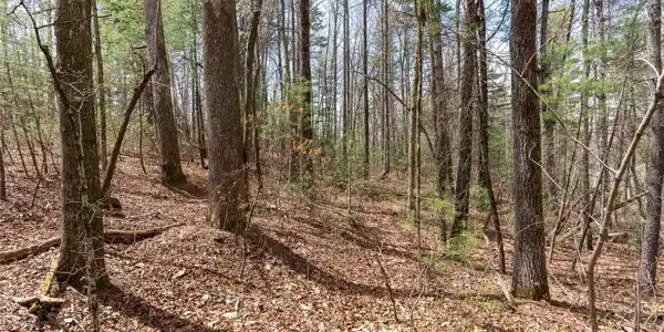 Image 3 Image 3