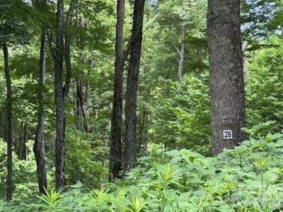 Lot 28 Toi Trail
