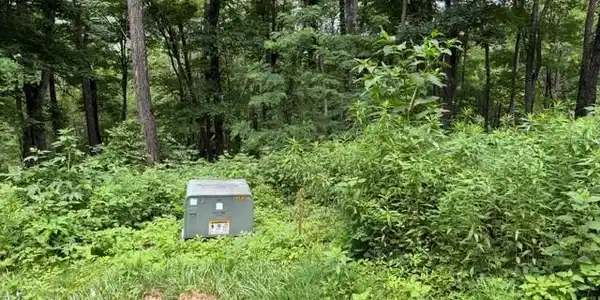 Image 4 Image 4