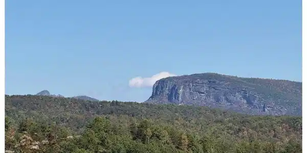 Image 3 Image 3