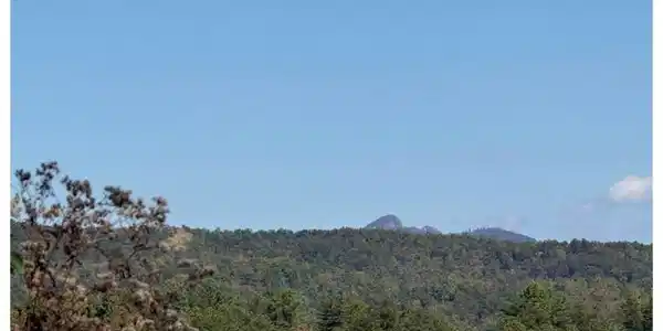 Image 4 Image 4