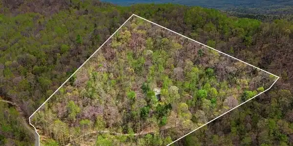 Image 2 Image 2