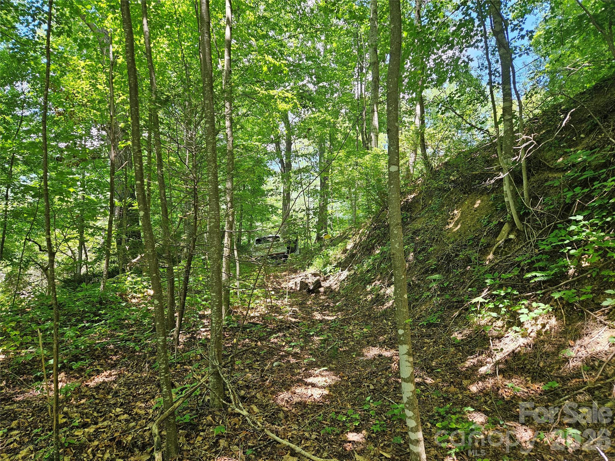 Image 4 Image 4