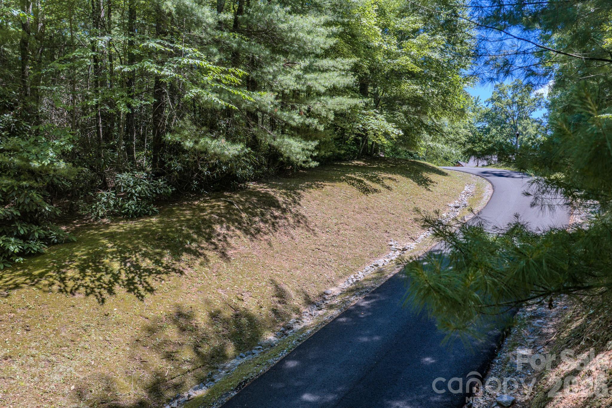 Image 4 Image 4