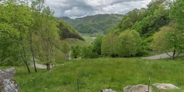 Image 4 Image 4