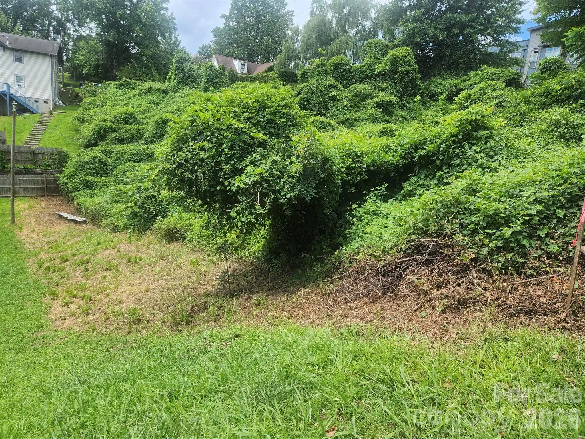 Image 1 Image 1