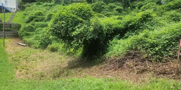 Image 2 Image 2