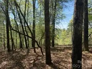 Image 3 Image 3