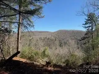 Image 4 Image 4