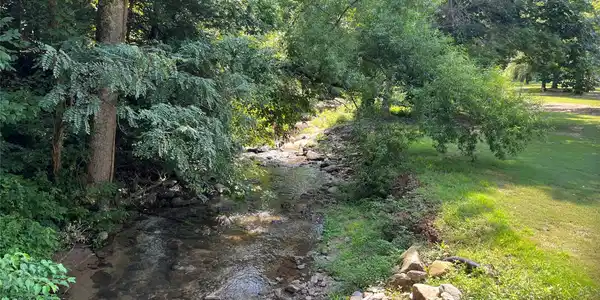 Image 4 Image 4