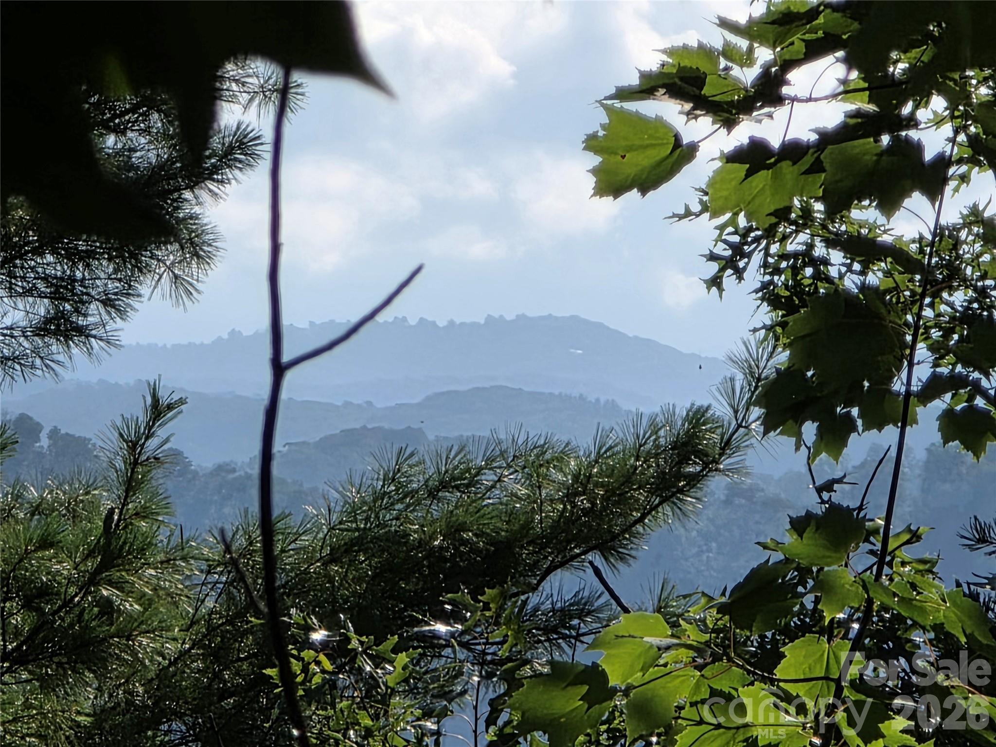 Image 1 Image 1