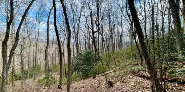 10.02 Acres TBD Rock Garden Road