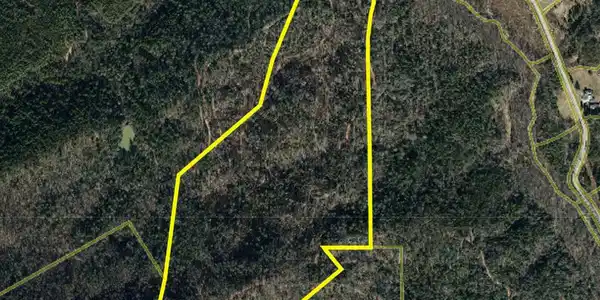 Image 3 Image 3